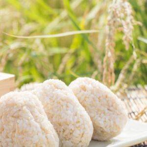 食後の眠気を防ぐ！おにぎりと組み合わせると良い食材とは？｜管理栄養士が解説