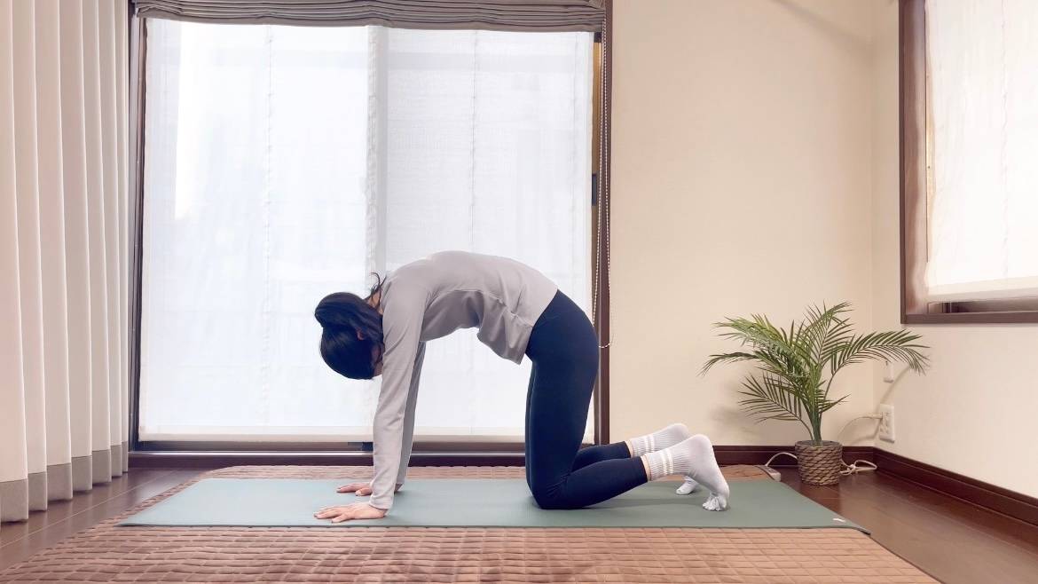 キャット＆カウ