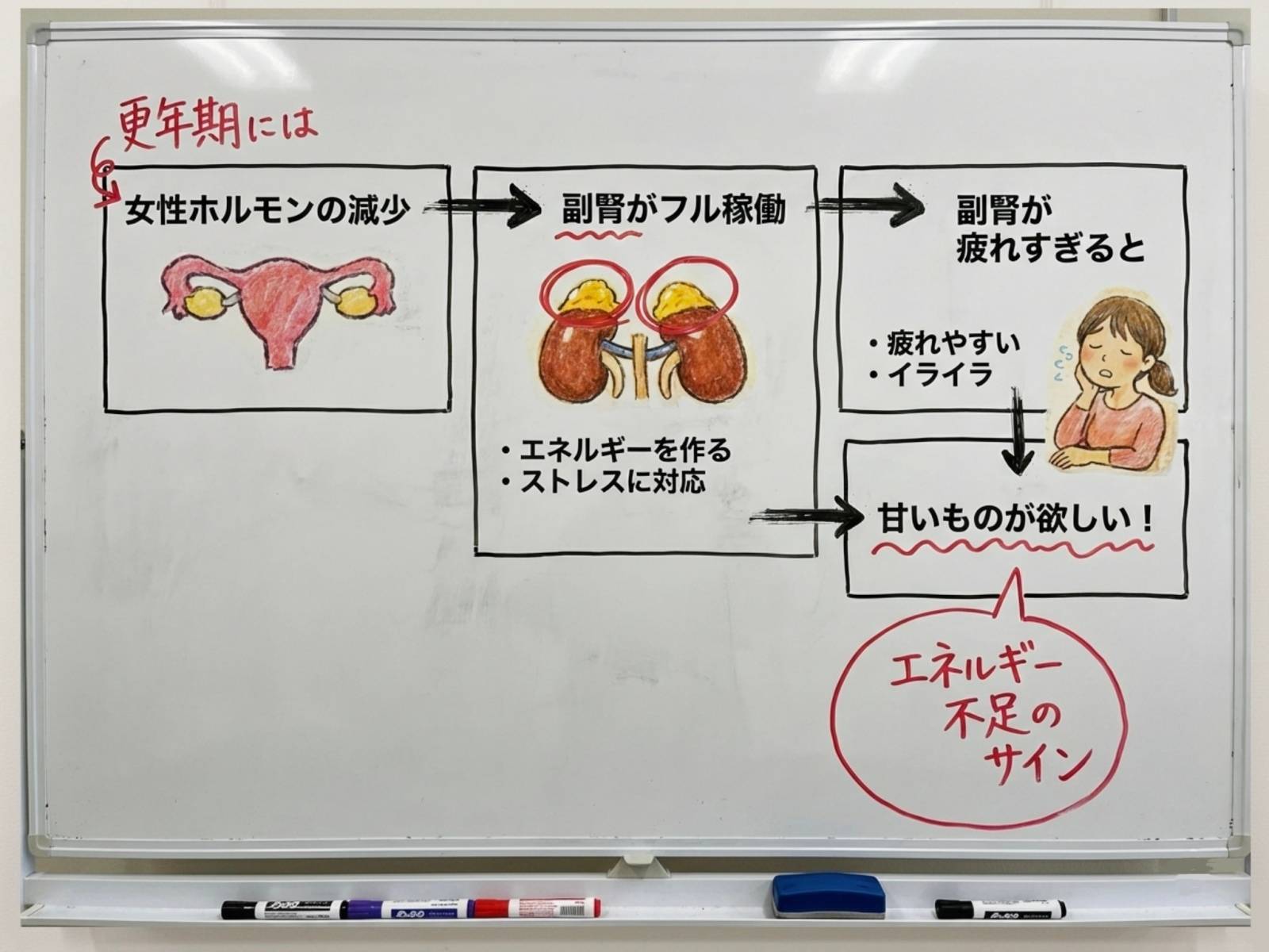 副腎疲労の説明図①