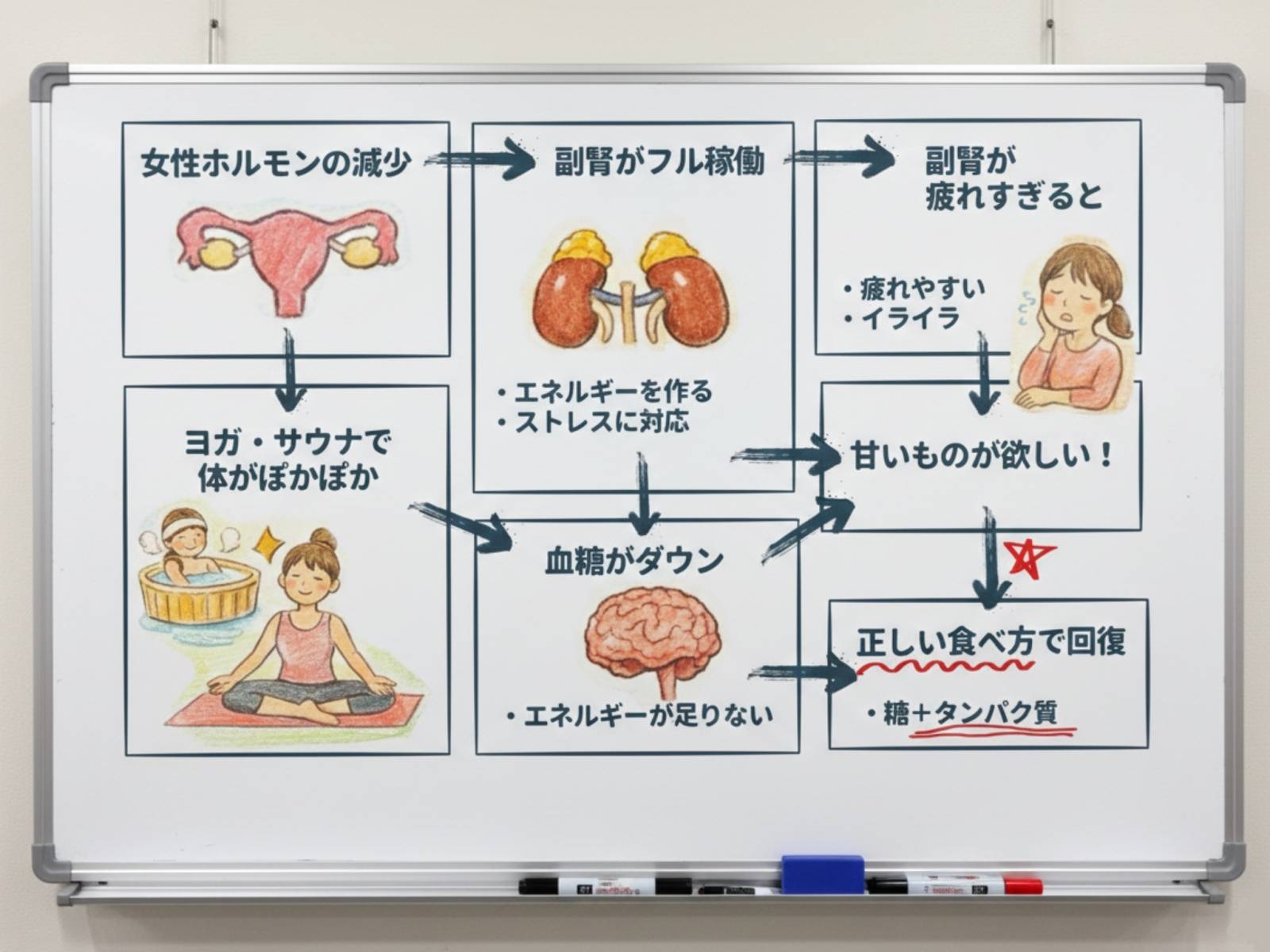 更年期と糖質欲求