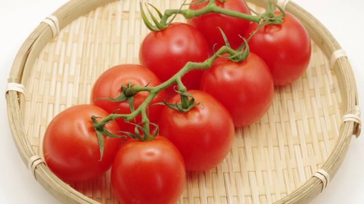 朝トマトを食べるだけ！腸がよろこぶ理由を管理栄養士が解説