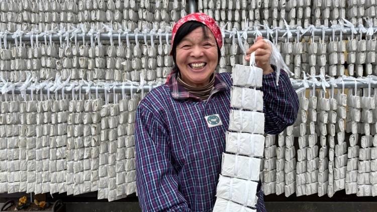 福島県古殿町の凍み餅は、なぜここまで手間がかかるのか｜「これがないと本物じゃない」冬仕事