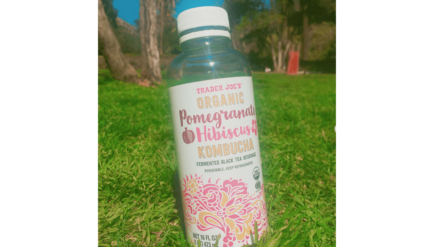 その他の安全上の懸念事項