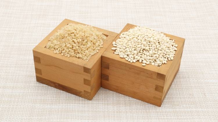 玄米ともち麦、健康にいいのはどっち？血糖値が気になる人が知っておきたい違い｜管理栄養士が解説