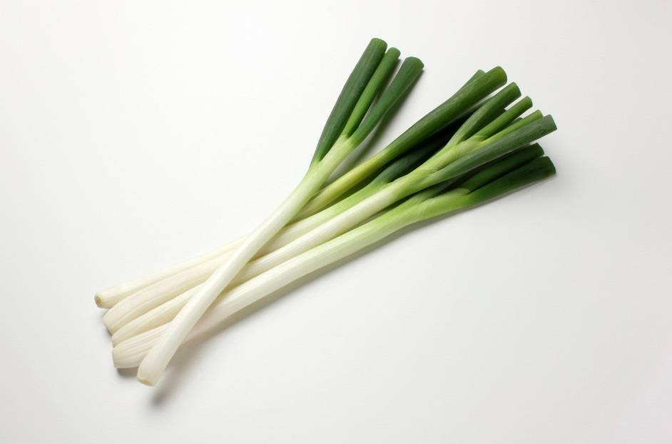 ネギ