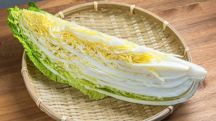 白菜の使い方、実は間違ってる？部位別ベストな食べ方を管理栄養士が解説
