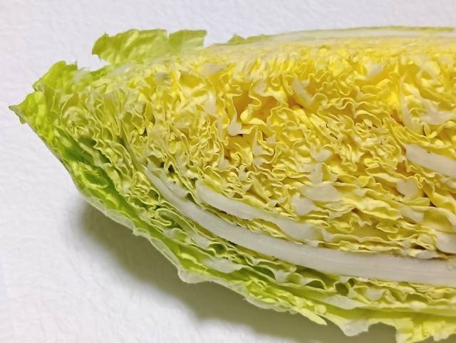 白菜　葉先