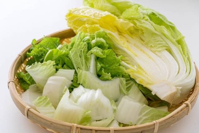 白菜　中間