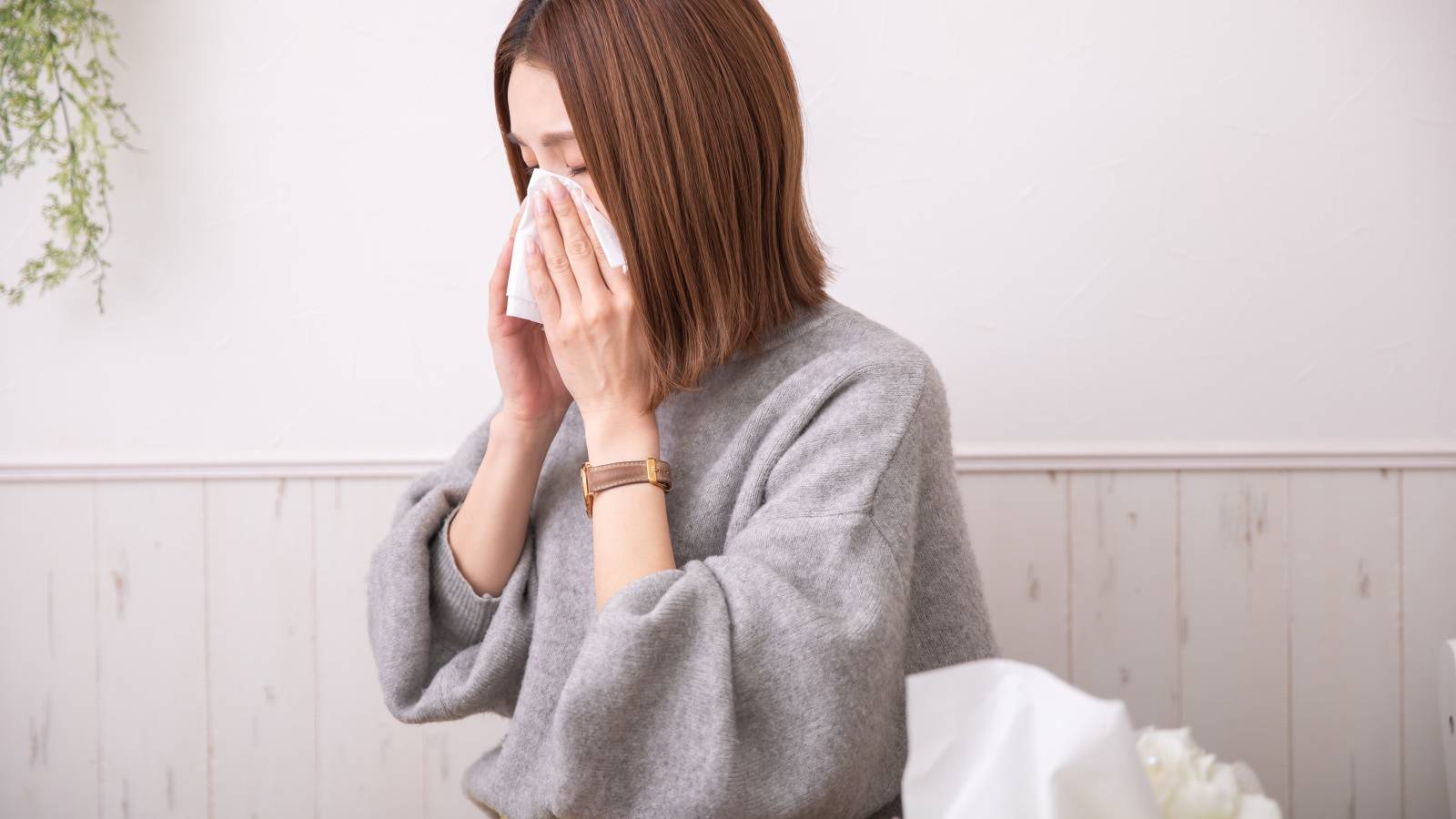 【2026年のスギ花粉症の予測は？】花粉症治療の第一人者に聞く、今シーズン「花粉症対策」のポイント