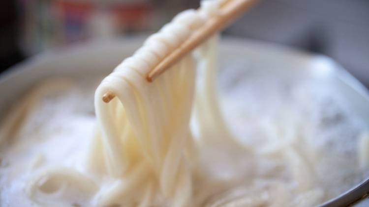 鉄不足を防ぐ！うどんと組み合わせると良い食材とは？｜管理栄養士が解説