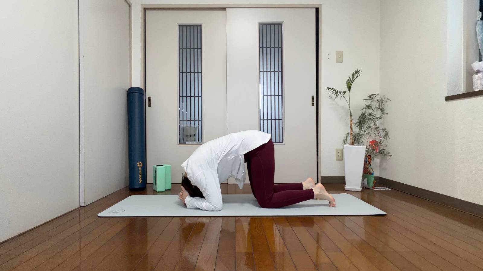 うさぎのポーズ　アレンジ