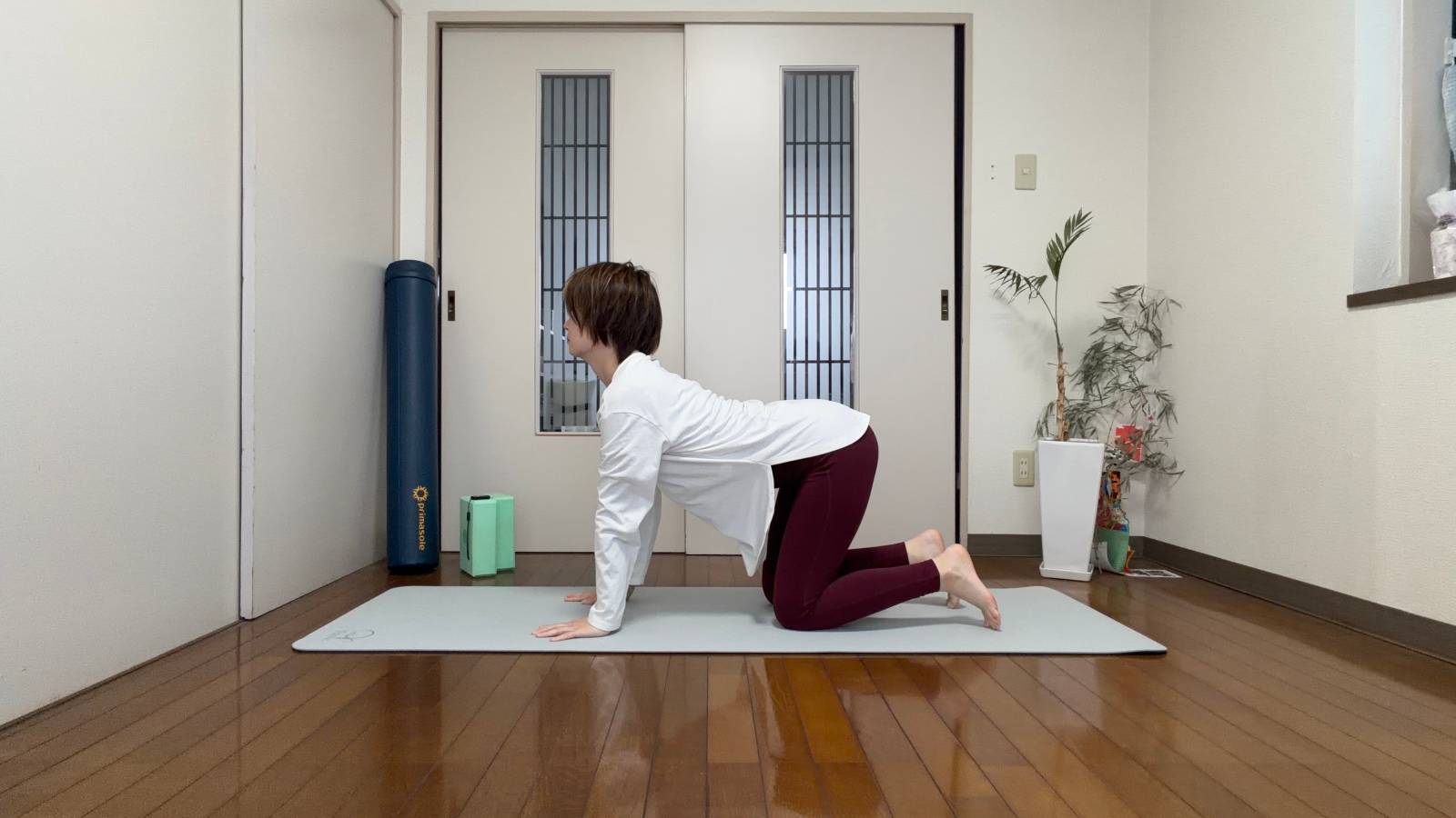 キャットアンドカウ