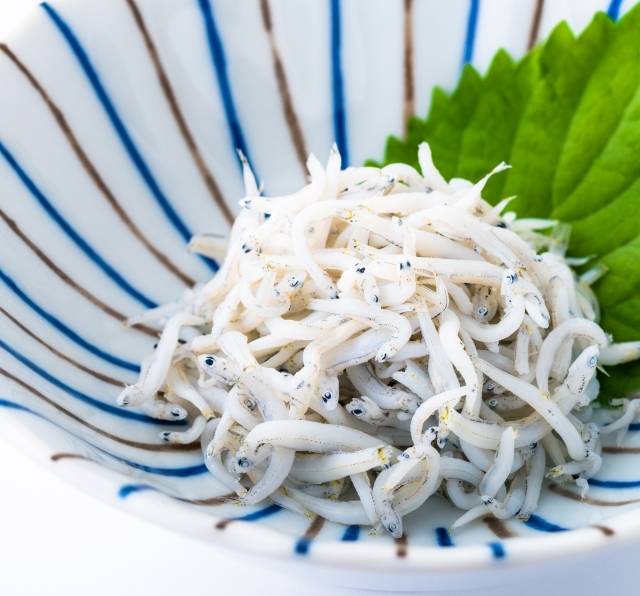 牛乳を飲むと背が伸びるって本当？身長アップに必要な栄養を管理栄養士が解説