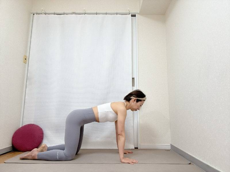 四つ這いの体勢