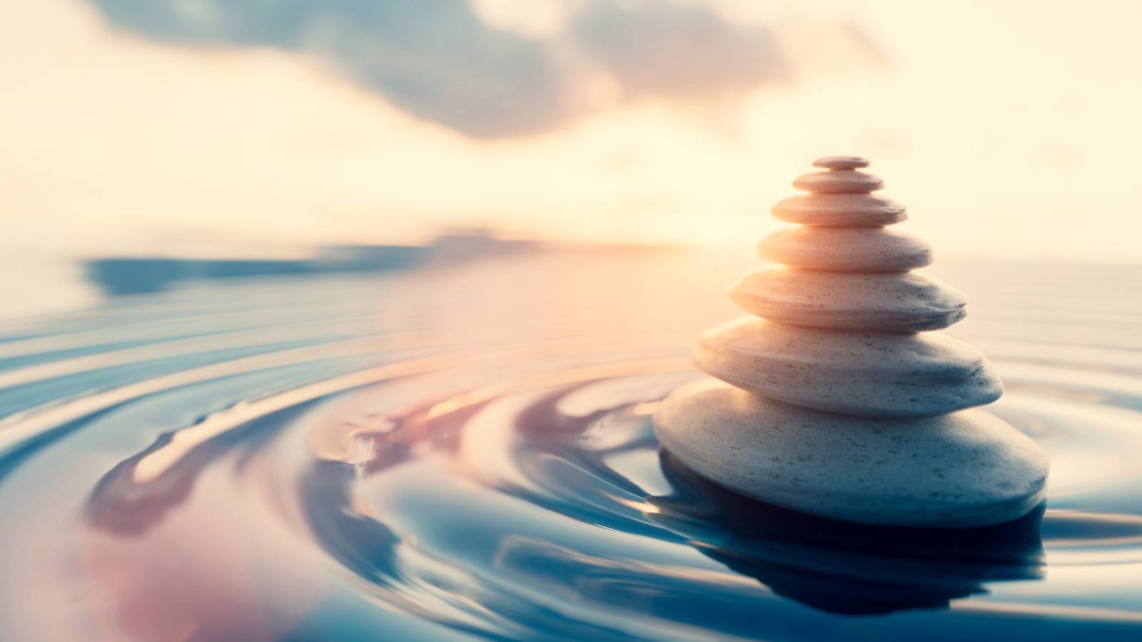 【脳科学者・中野信子が教える】今起きているありのままを受け止める「マインドフルネス」実践のヒント