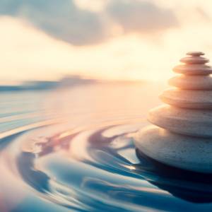 【脳科学者・中野信子が教える】今起きているありのままを受け止める「マインドフルネス」実践のヒント