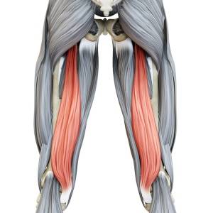 寝たまま内転筋をゆるめるだけ！太ももの内側が"目覚めて"下半身がスッと軽くなる簡単エクササイズ