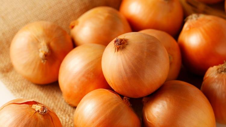 朝「玉ねぎ」で腸がよろこぶ！痩せ腸に変わる玉ねぎの食べ方を管理栄養士が解説