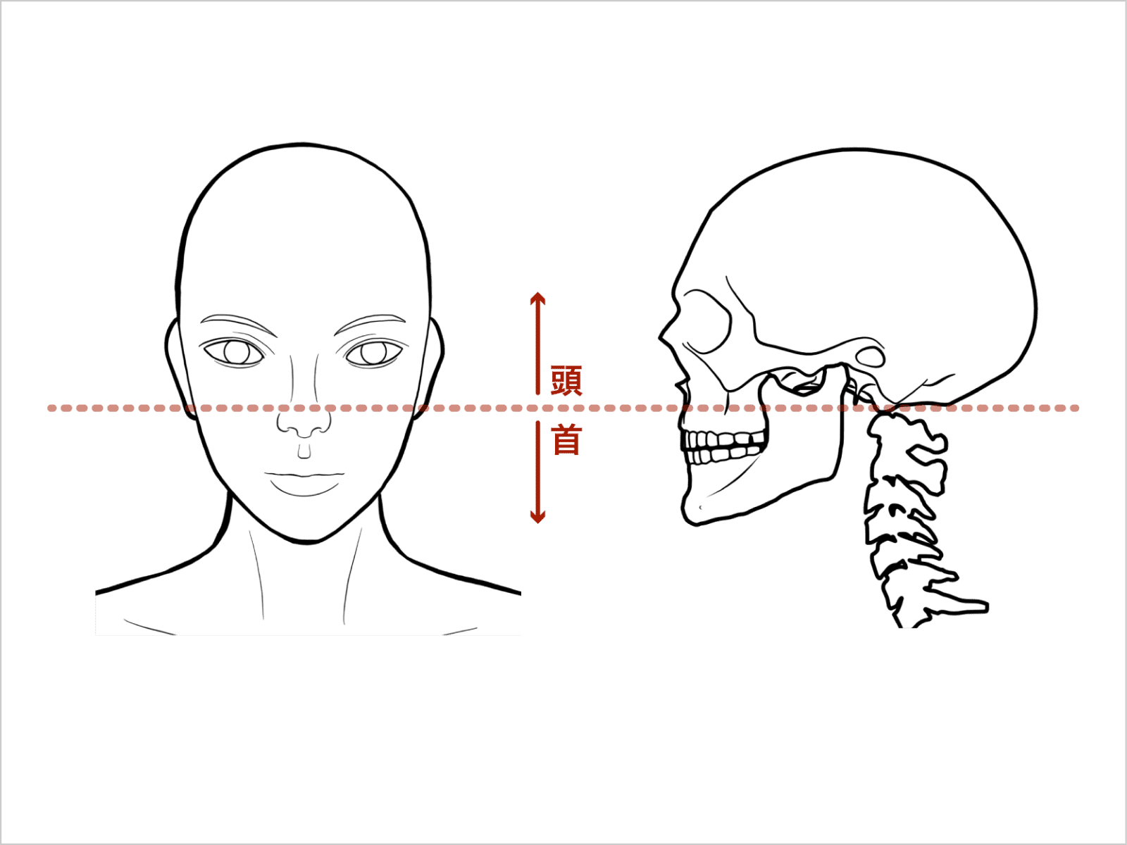 頭の位置と大きさの認識をアップデートする