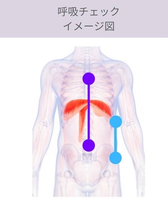 呼吸チェック３