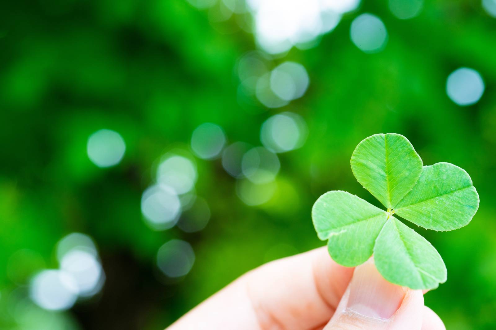 無意識に食べてたわ…。朝、幸せホルモンを減らすNG食べ物を管理栄養士が解説