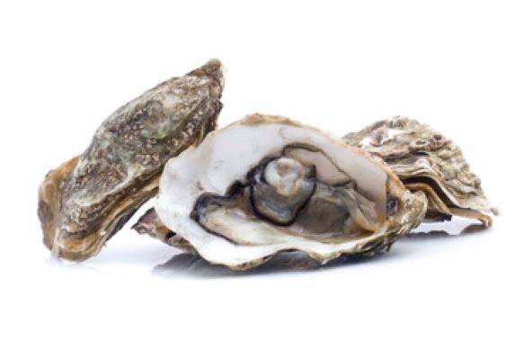 亜鉛食材　牡蠣