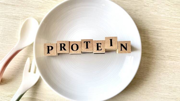 とりすぎは腎臓にNG?たんぱく質の“適正量”の見極め方を管理栄養士が解説