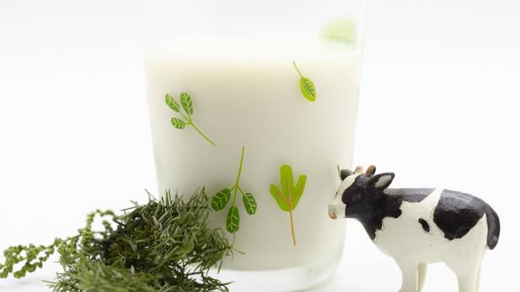 「実は逆効果？」牛乳と一緒に食べない方がいいNG食品3選｜管理栄養士解説