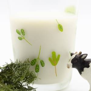 「実は逆効果？」牛乳と一緒に食べない方がいいNG食品3選｜管理栄養士解説