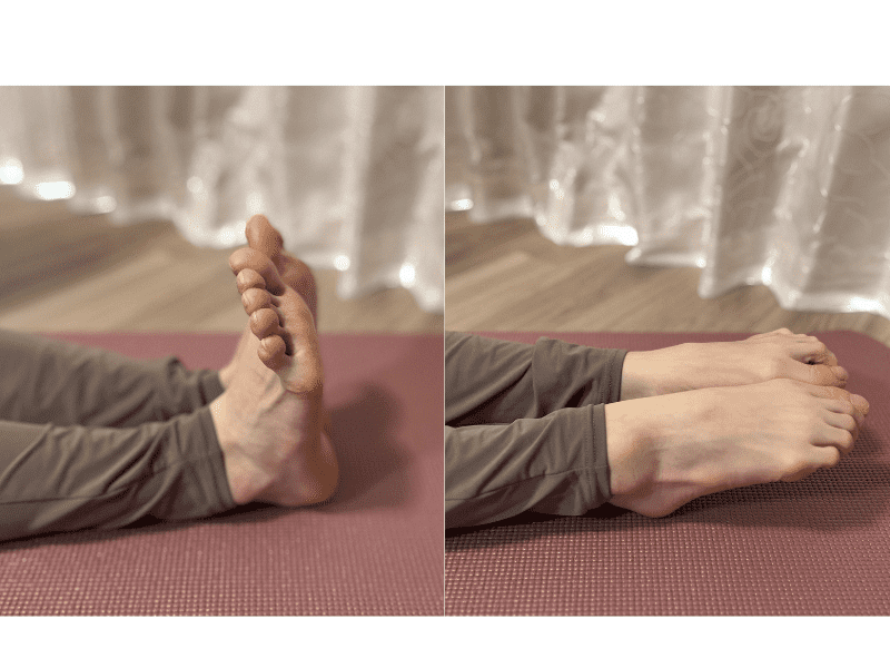 フレックスポイント