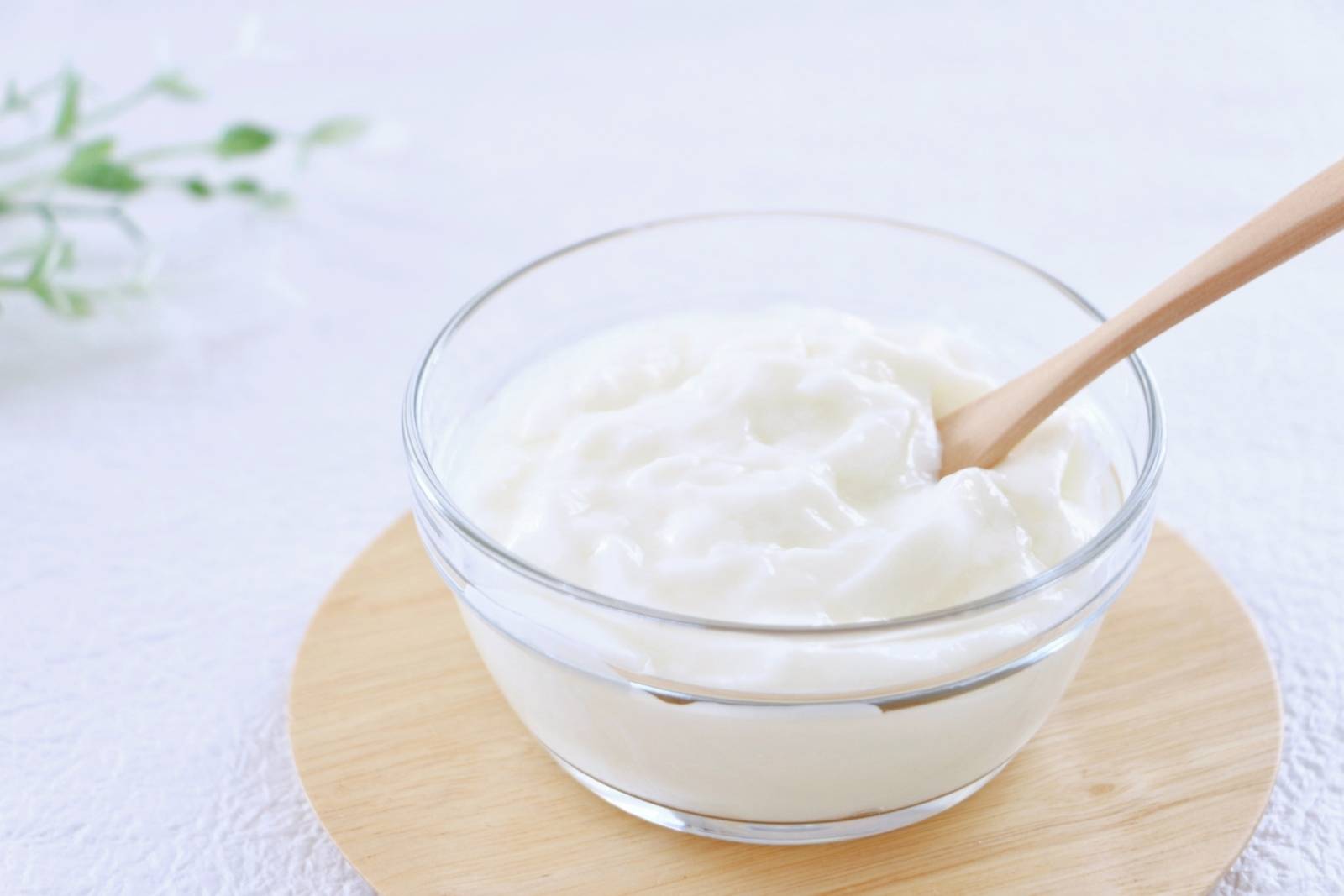 ヨーグルト写真