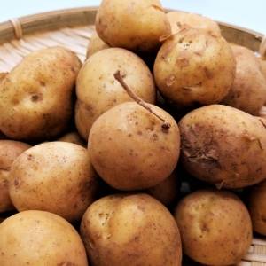 夜じゃがいもを食べるだけ！みるみる痩せ腸に変わる「じゃがいも」の食べ方｜管理栄養士が解説