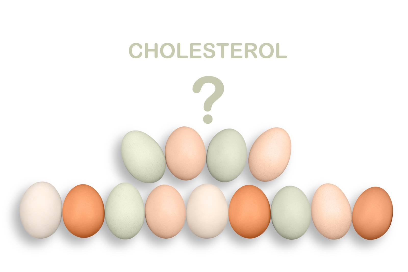 コレステロール