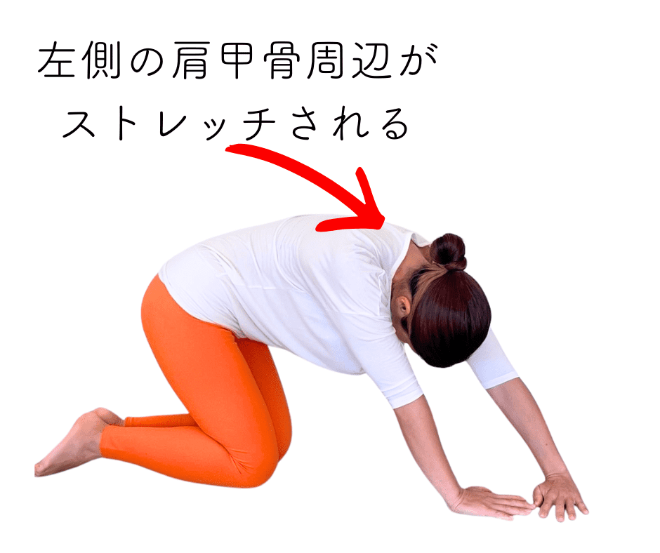 肩甲骨周辺ストレッチ