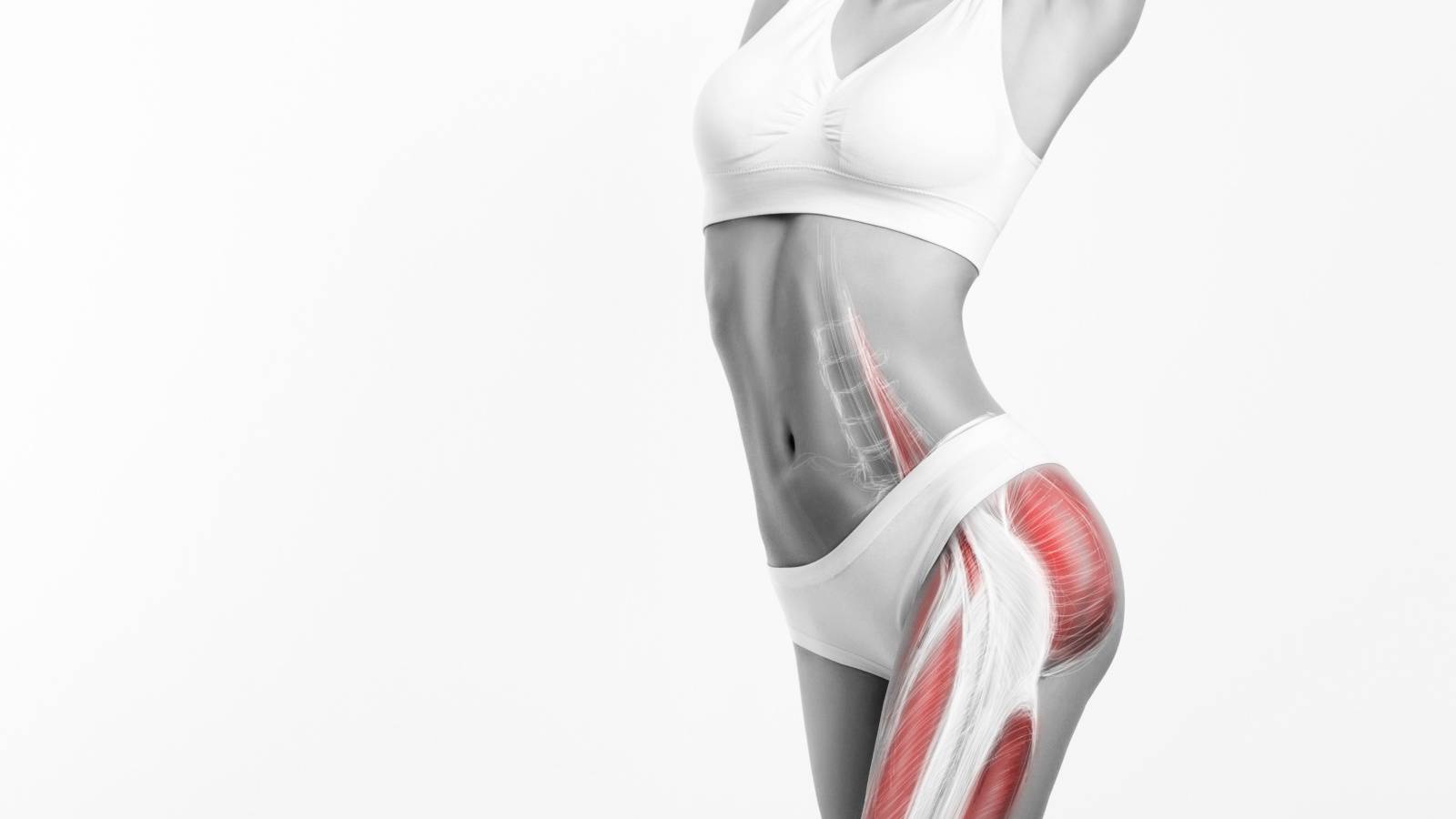  筋トレで肌の弾力アップ！最新研究で判明した「筋肉量」と「シミ・シワ」の深い関係 