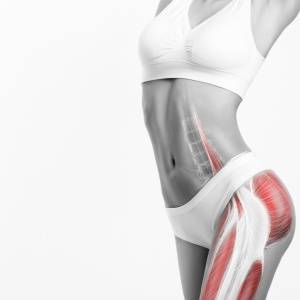 筋トレで肌の弾力アップ！最新研究で判明した「筋肉量」と「シミ・シワ」の深い関係