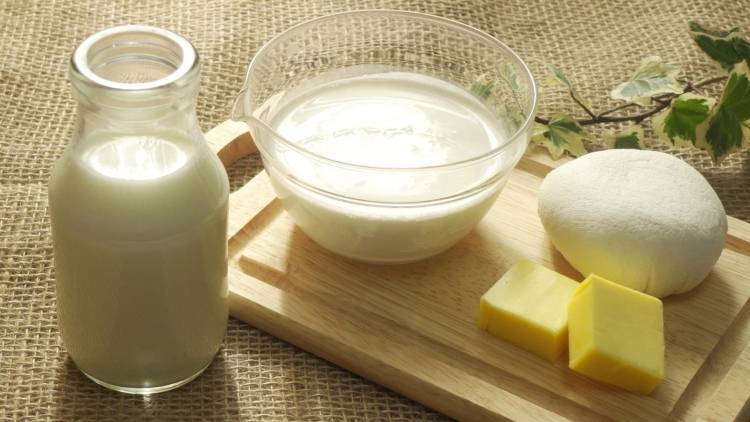 カルシウム不足を防ぐ!乳製品が苦手な人が食べるべき食材とは?|管理栄養士が解説