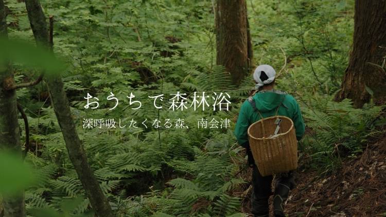 南会津の森で深呼吸したくなる理由。更年期を整える「クロモジ茶」｜福島発リトリート