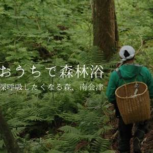 南会津の森で深呼吸したくなる理由。更年期を整える「クロモジ茶」｜福島発リトリート