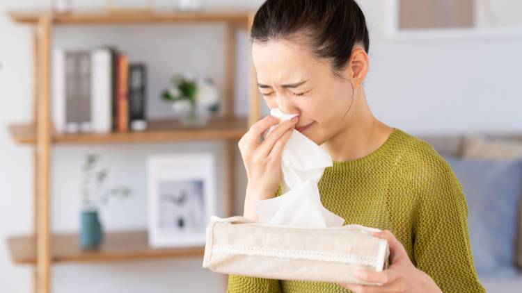 【つらい花粉症をヨガで撃退！】鼻詰まりがスッキリ！夜もぐっすり眠れる簡単ヨガ