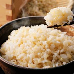 玄米を週4回食べるだけで、認知機能が改善？ 東北大学×東洋ライスが脳の認知機能改善を実証