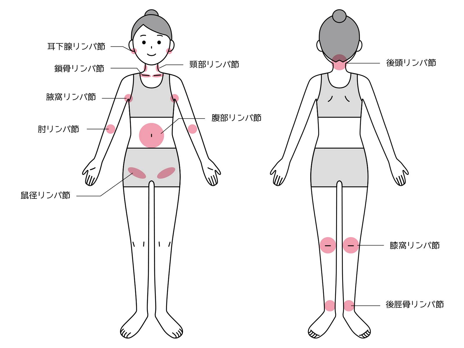 リンパについて