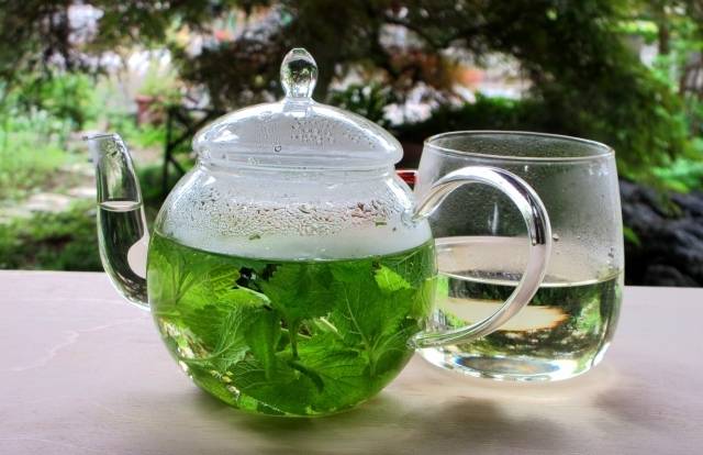 レモンバームティー