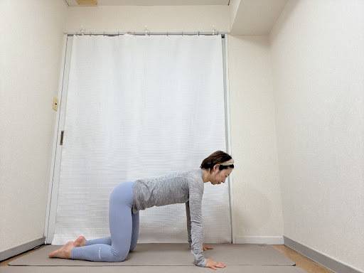 四つ這いの体勢