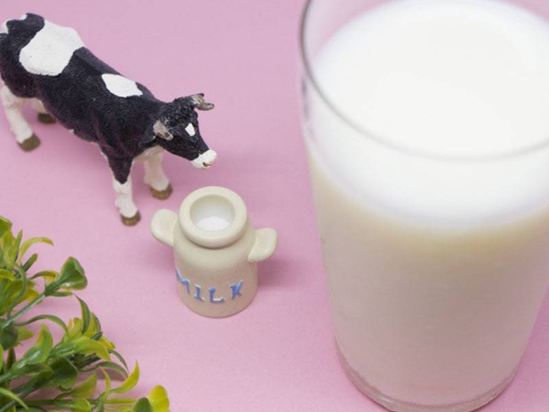 豆乳 vs 牛乳 — ダイエット中のカルシウム＆タンパク質補給、どっちが優秀？