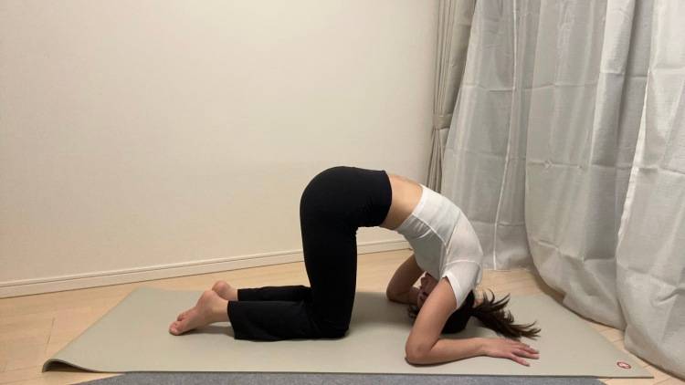 みるみる肩周りが軽くなる。背中の奥までじんわり伸びる！肘をついたウサギのポーズ