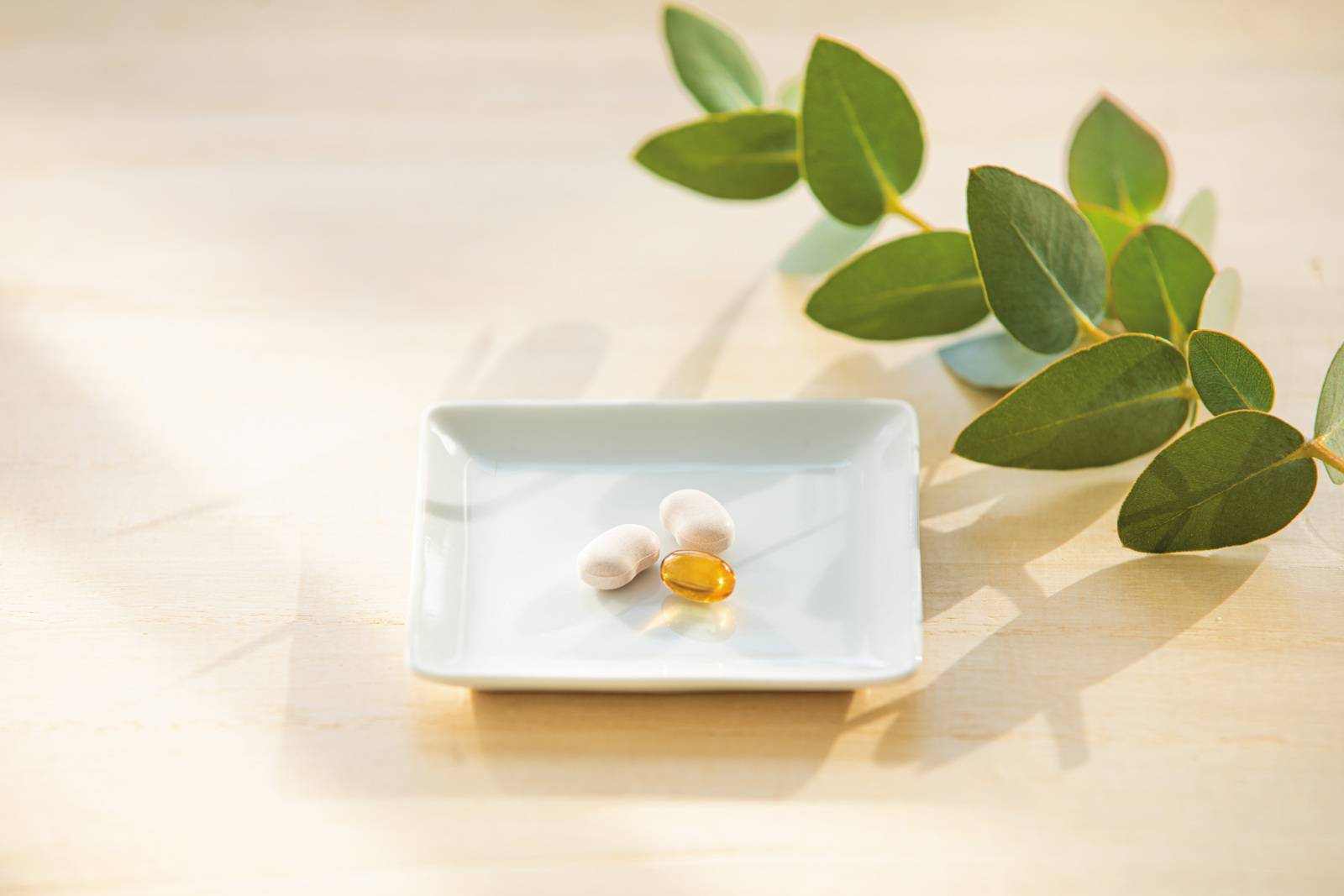 佐田真由美さんに聞く「私と家族のウェルネスな毎日を守る５つの約束」