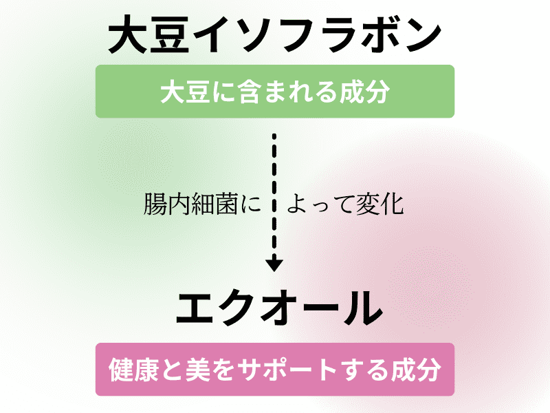 佐田真由美さんに聞く「私と家族のウェルネスな毎日を守る５つの約束」