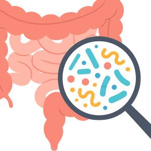 【幼少期の食習慣は脳に長く影響する】最新研究で判明、腸内細菌を整えることで改善の可能性