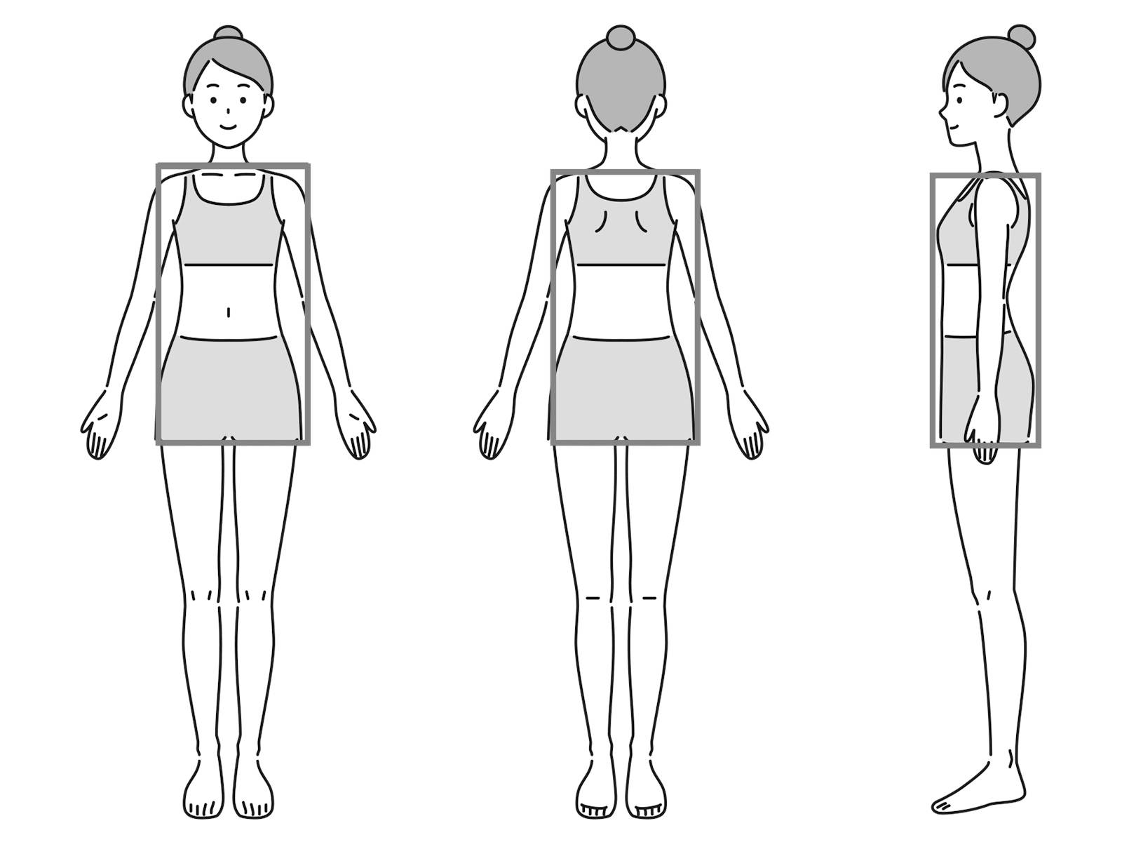 体幹部イラスト